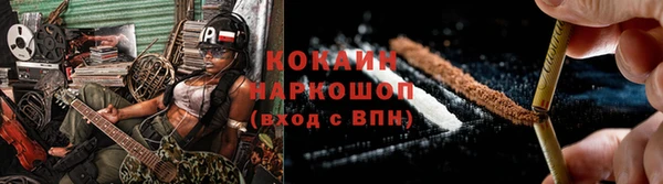 молекула духа Пересвет