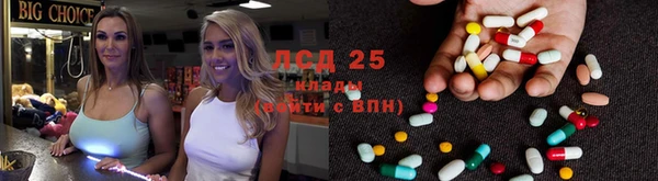 ГАЛЛЮЦИНОГЕННЫЕ ГРИБЫ Пестово