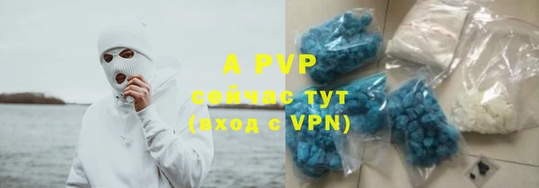 ГАЛЛЮЦИНОГЕННЫЕ ГРИБЫ Пестово