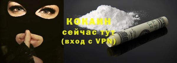 молекула духа Пересвет