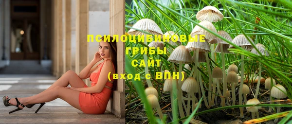 ГАЛЛЮЦИНОГЕННЫЕ ГРИБЫ Пестово