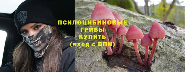 молекула духа Пересвет