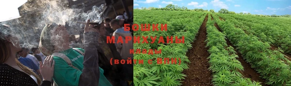 молекула духа Пересвет
