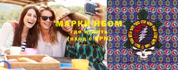 ГАЛЛЮЦИНОГЕННЫЕ ГРИБЫ Пестово