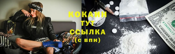 ГАЛЛЮЦИНОГЕННЫЕ ГРИБЫ Пестово