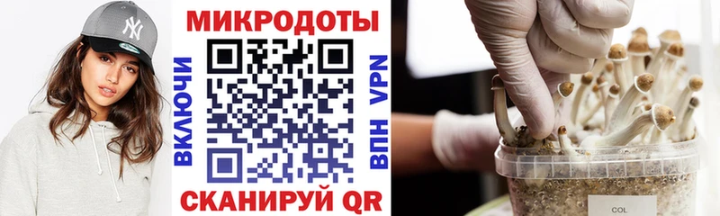 Галлюциногенные грибы прущие грибы Холмск