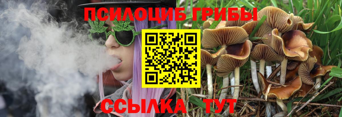 Галлюциногенные грибы Magic Shrooms  Галлюциногенные грибы Cubensis  Вход с VPN  Холмск 